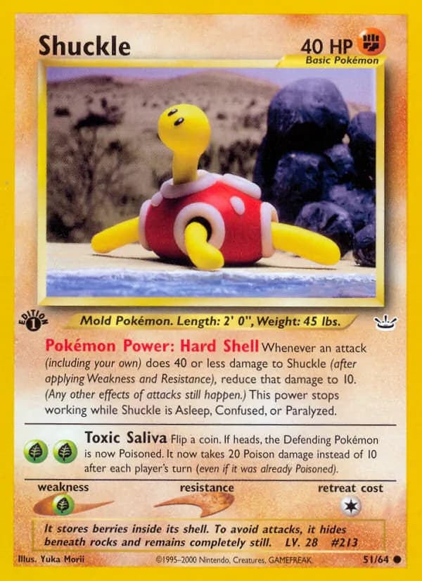 Shuckle – Neo Revelation 51