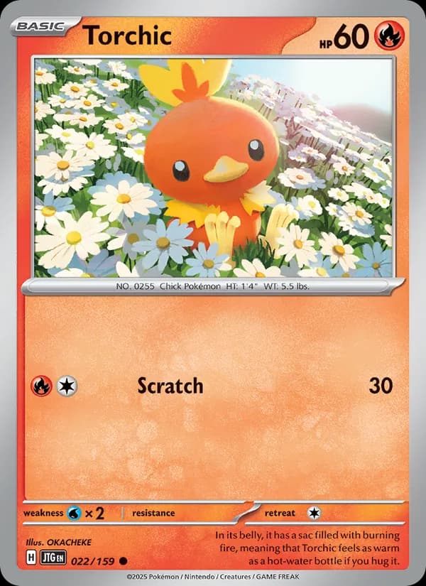 Torchic – Journey Together 022