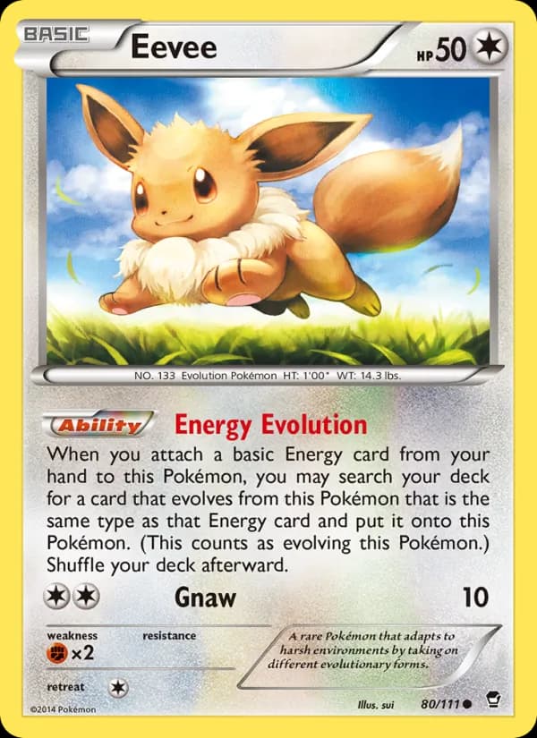 Eevee – Furious Fists 80