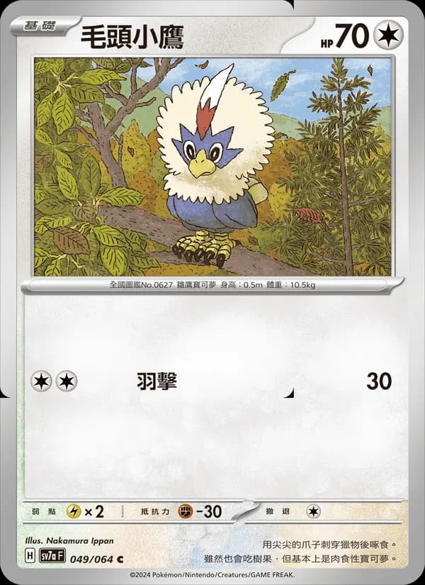 毛頭小鷹 – 樂園騰龍 049